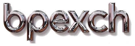 bpexch login logo